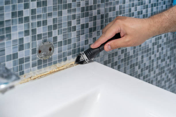 Best Emergency Mold Removal  in Waynesville, MO