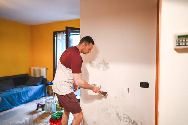 Best Crawl Space Mold Removal  in Waynesville, MO